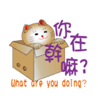 かわいい猫の運勢-2（個別スタンプ：22）