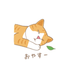 アメショーと茶トラ白猫のお気楽スタンプ（個別スタンプ：3）