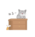 アメショーと茶トラ白猫のお気楽スタンプ（個別スタンプ：4）
