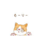 アメショーと茶トラ白猫のお気楽スタンプ（個別スタンプ：12）