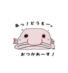メンダコめんちゃん（個別スタンプ：9）