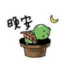 Cactus Man and Cactus Woman are coming ！（個別スタンプ：7）
