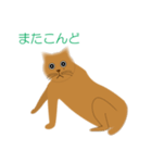 丸ねんこ（個別スタンプ：30）