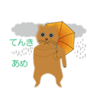 丸ねんこ（個別スタンプ：37）
