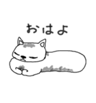 ゆるふわねこ（個別スタンプ：1）