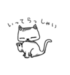ゆるふわねこ（個別スタンプ：8）
