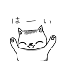ゆるふわねこ（個別スタンプ：31）