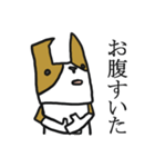 可愛いぷぅ太はコーギーです。（個別スタンプ：2）