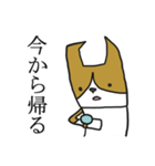 可愛いぷぅ太はコーギーです。（個別スタンプ：34）