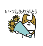 可愛いぷぅ太はコーギーです。（個別スタンプ：40）