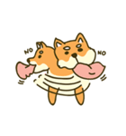 Shiba inu furkids（個別スタンプ：2）