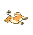 Shiba inu furkids（個別スタンプ：3）