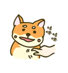 Shiba inu furkids（個別スタンプ：6）