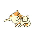 Shiba inu furkids（個別スタンプ：8）