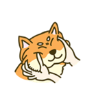 Shiba inu furkids（個別スタンプ：9）