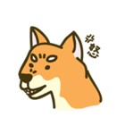 Shiba inu furkids（個別スタンプ：11）