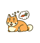 Shiba inu furkids（個別スタンプ：13）