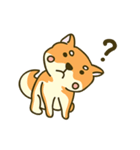 Shiba inu furkids（個別スタンプ：15）