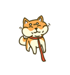 Shiba inu furkids（個別スタンプ：17）