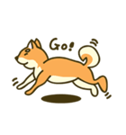 Shiba inu furkids（個別スタンプ：19）