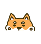 Shiba inu furkids（個別スタンプ：25）