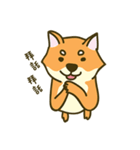 Shiba inu furkids（個別スタンプ：26）