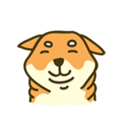 Shiba inu furkids（個別スタンプ：27）