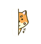 Shiba inu furkids（個別スタンプ：32）