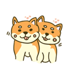 Shiba inu furkids（個別スタンプ：34）