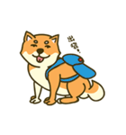 Shiba inu furkids（個別スタンプ：35）