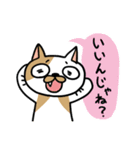 チャラい猫ねこすけ（個別スタンプ：3）