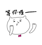 white cat stickers for couple（個別スタンプ：36）