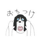 みんなのいぬんちゅ（個別スタンプ：13）