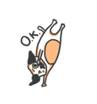 Pug Pon（個別スタンプ：3）