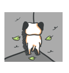 Pug Pon（個別スタンプ：18）