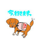 元保護犬TIG店長のスタンプ（個別スタンプ：4）