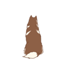 1 day of Siberian Husky（個別スタンプ：13）