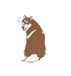 1 day of Siberian Husky（個別スタンプ：14）