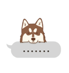 1 day of Siberian Husky（個別スタンプ：26）