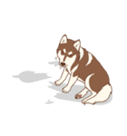 1 day of Siberian Husky（個別スタンプ：28）