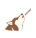 1 day of Siberian Husky（個別スタンプ：29）