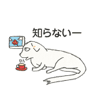 将軍ワンの楽しい日常（個別スタンプ：37）