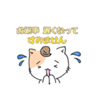 ねこのリチャード ビジネス敬語編（個別スタンプ：26）