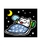 Foolish Cats Everyday Life（個別スタンプ：3）