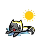 Foolish Cats Everyday Life（個別スタンプ：5）