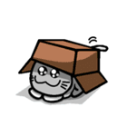 Foolish Cats Everyday Life（個別スタンプ：26）