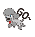 0.5mm Poodle！（個別スタンプ：13）