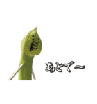 ねぎ~（個別スタンプ：20）
