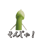 ねぎ~（個別スタンプ：37）