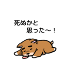 犬のタメさん語る（個別スタンプ：29）